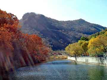 澳门二四六天天彩图库，刺客 刘猛